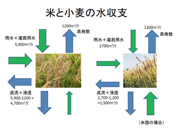 コラム