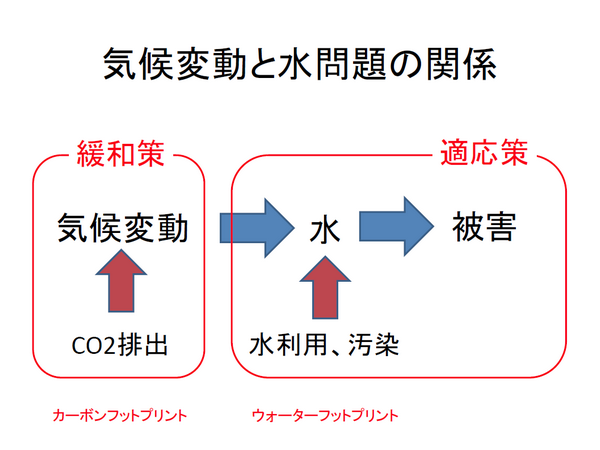 コラム