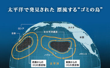 プラスチックによる海洋環境汚染 Marine Pollution by Plastic Debris