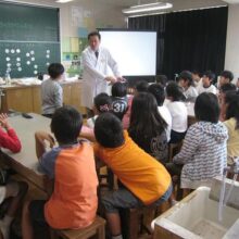 日野市立第7小学校